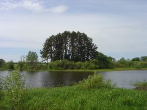 Der Fundplatz Riņņukalns, Vecate pagasts, am südlichen Ufer der Salaca knapp unterhalb des Ausflusses aus dem Burtniek-See (Foto H. Lübke, ZBSA). 