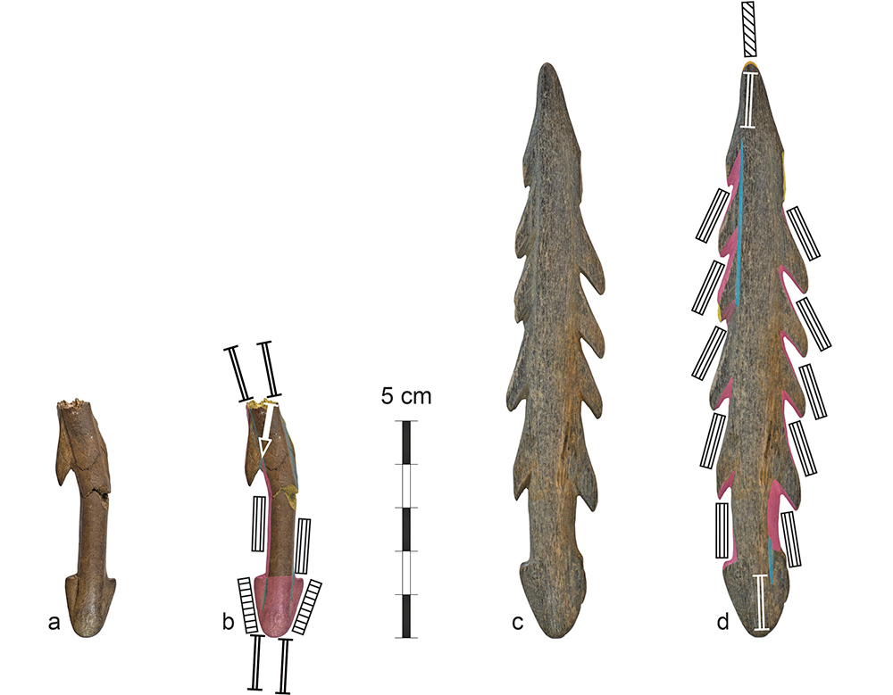 Two unpublished Ahrensburgian barbed points from Denmark.